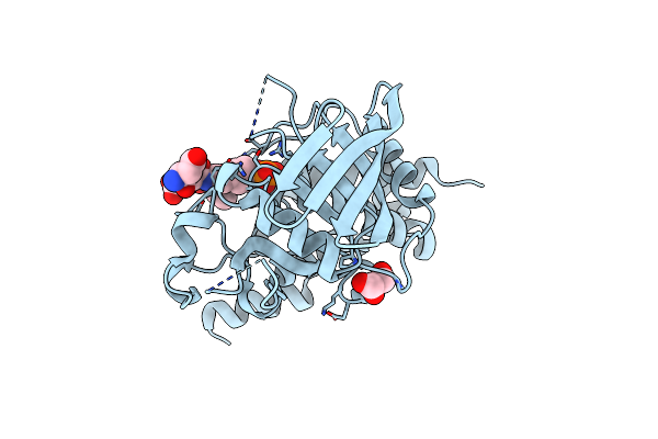 3D44 image