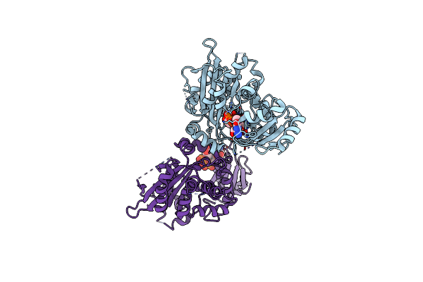 3D45 image