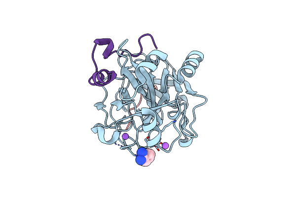 3D49 image