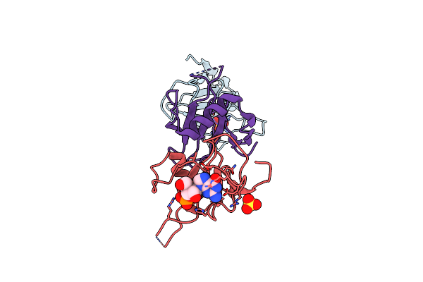 3D4A image