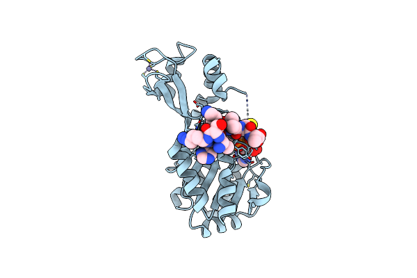 3D4B image