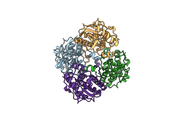 3D4I image