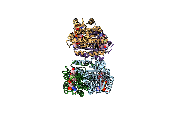 3D4N image