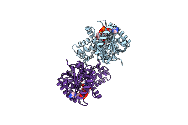 3D4P image