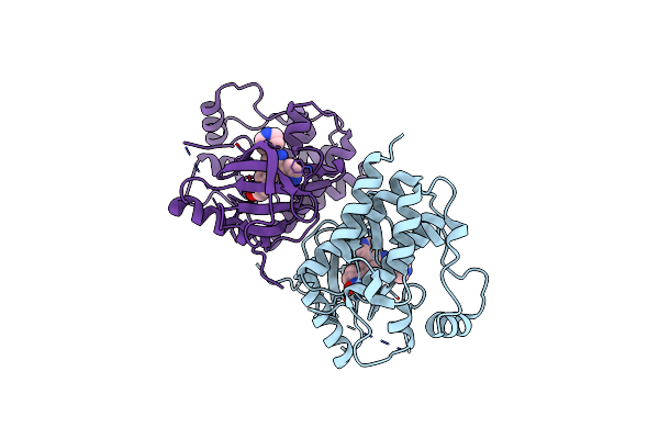 3D4Q image