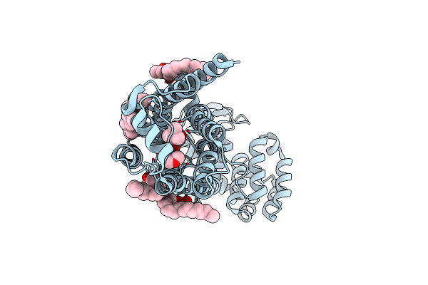 3D4S image