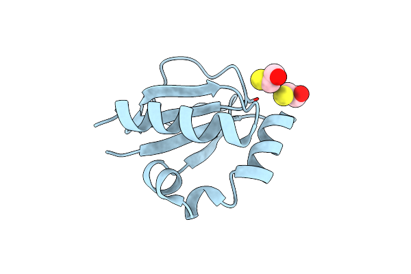 3D4T image