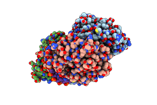 3D4V image