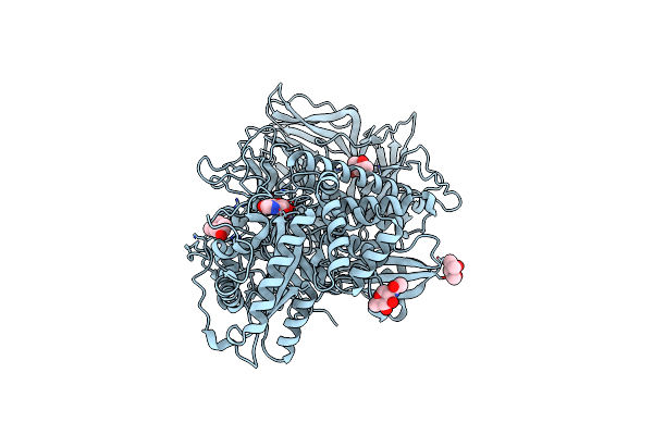 3D4Y image
