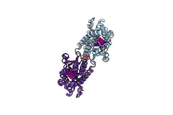 3D57 image