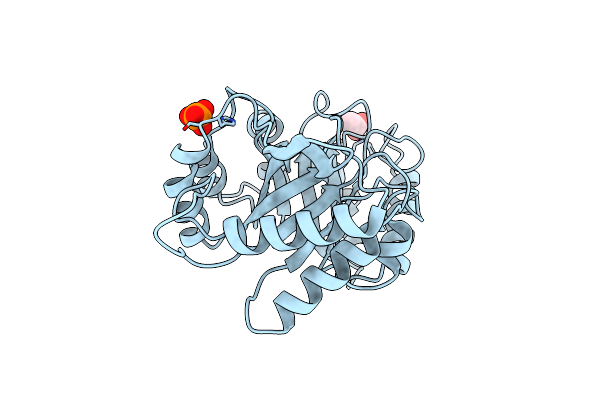 3D5H image
