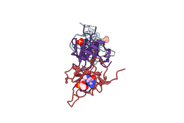 3D5I image