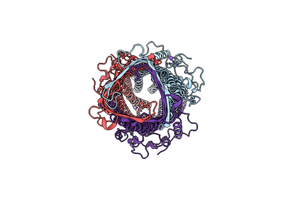 3D5K image