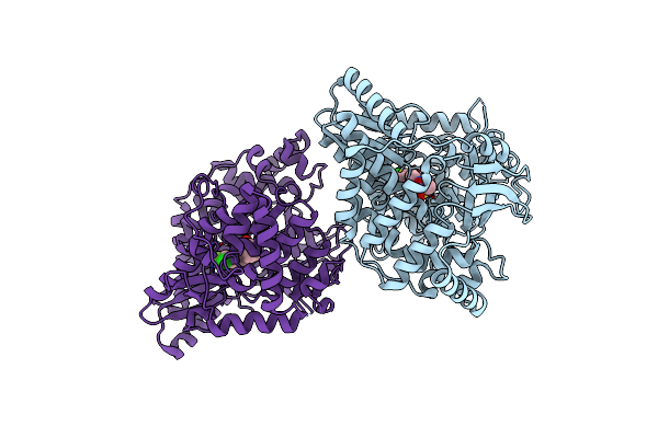 3D5M image