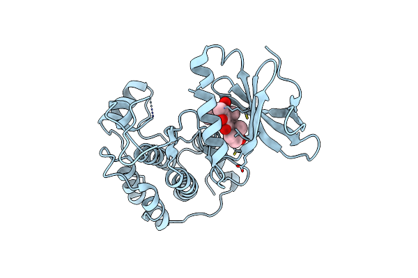 3D5X image