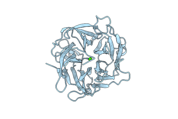 3D5Y image