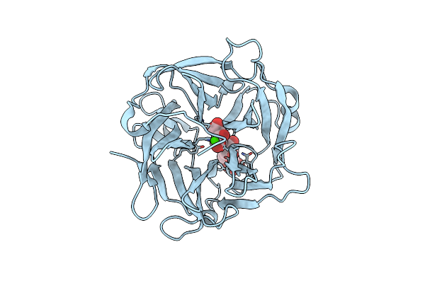 3D5Z image
