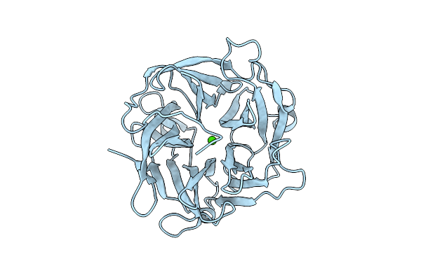 3D60 image