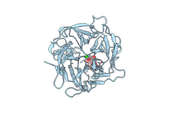 3D61 image