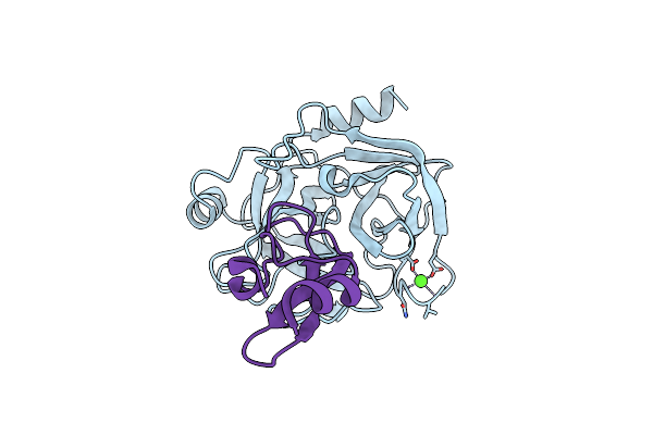 3D65 image