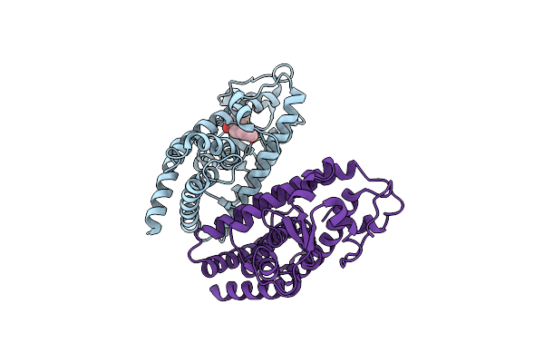 3D6D image