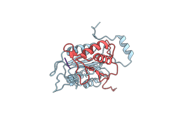 3D6F image
