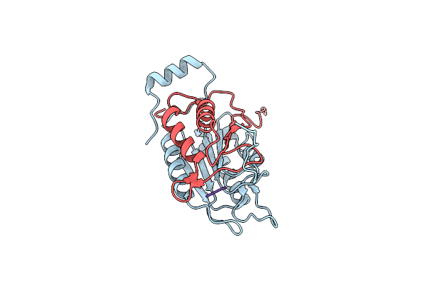 3D6H image