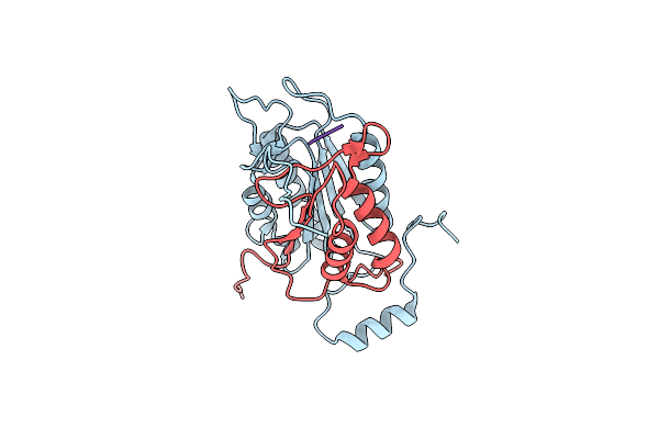 3D6M image