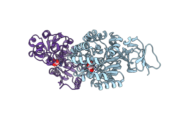 3D6N image