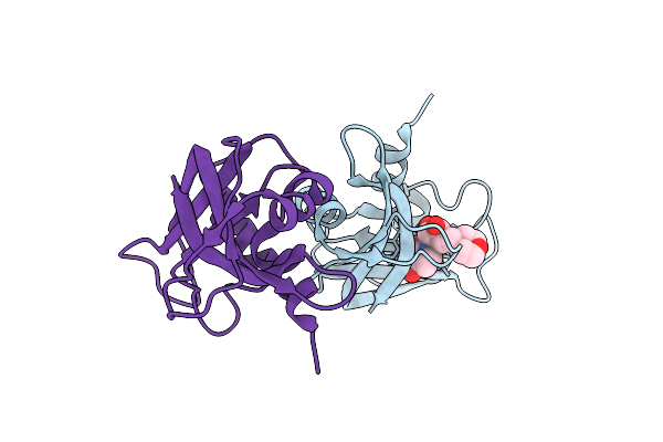 3D6P image
