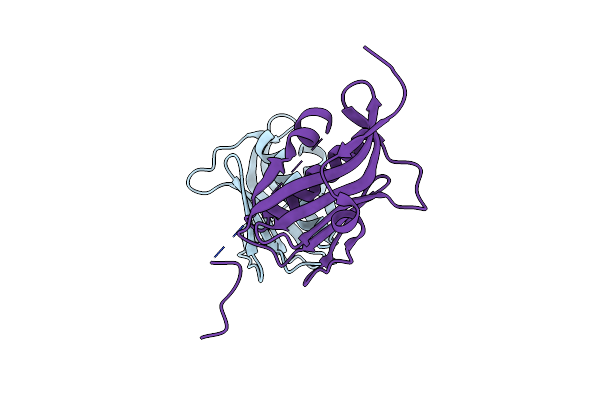 3D6R image