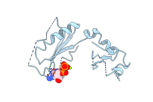 3D6T image