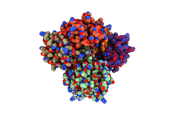 3D6X image