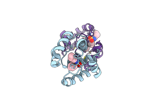 3D74 image