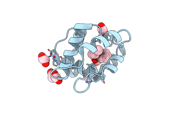 3D77 image