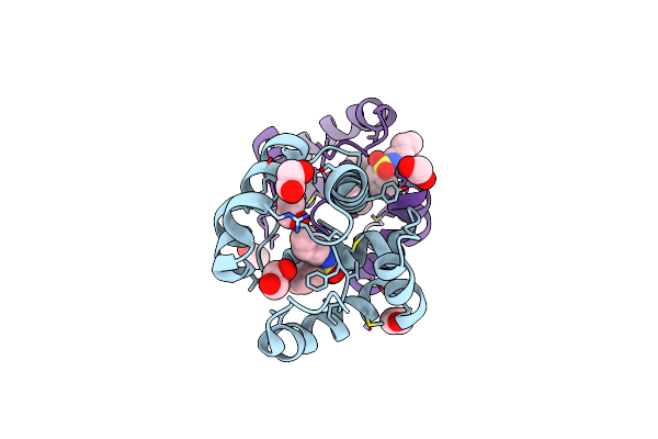 3D78 image