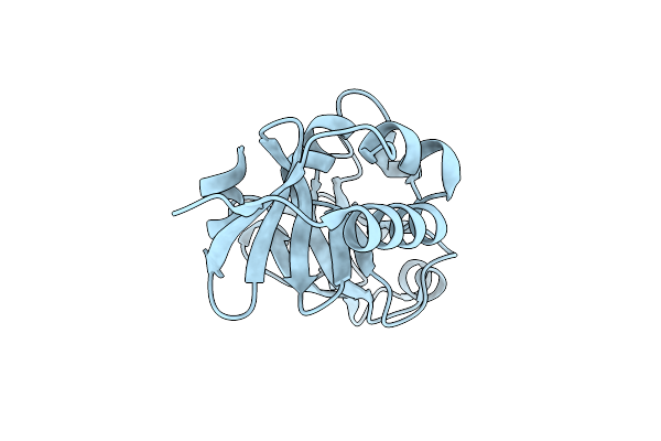 3D79 image