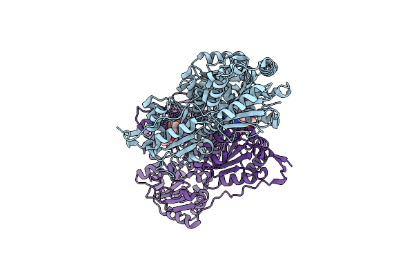 3D7K image