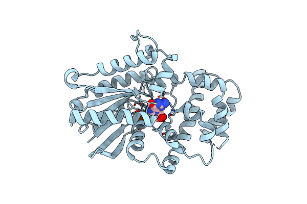 3D7M image