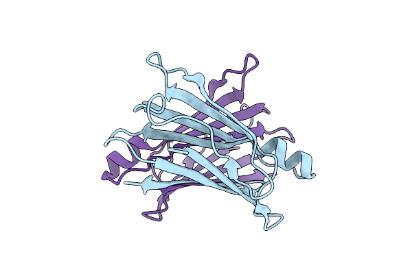 3D7P image