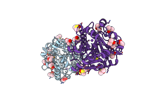 3D7R image