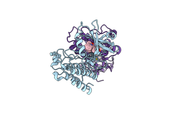 3D7T image