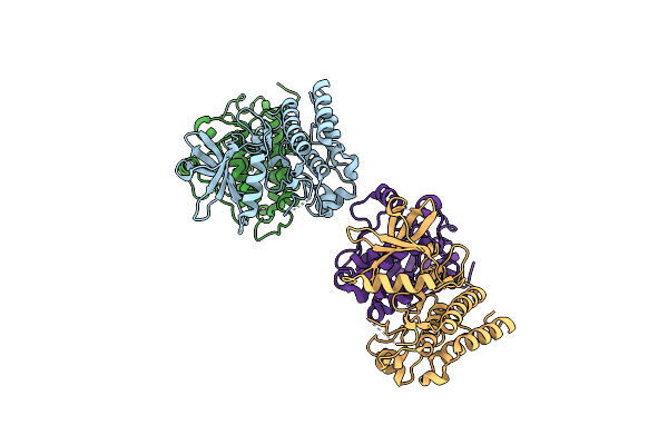 3D7U image