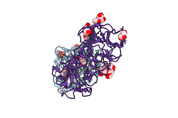 3D7W image