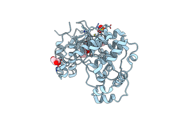 3D7Z image