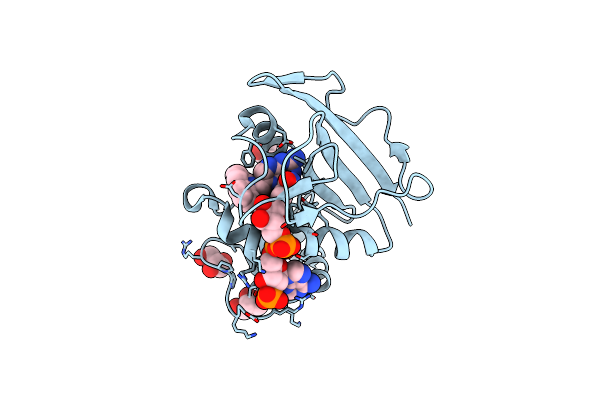 3D80 image