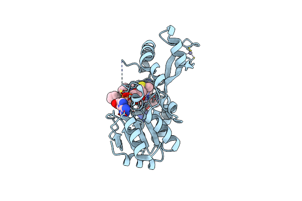 3D81 image