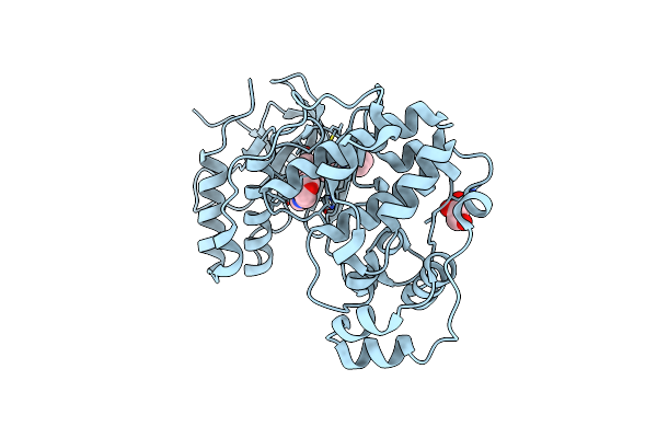 3D83 image