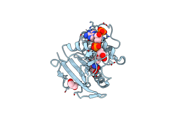 3D84 image
