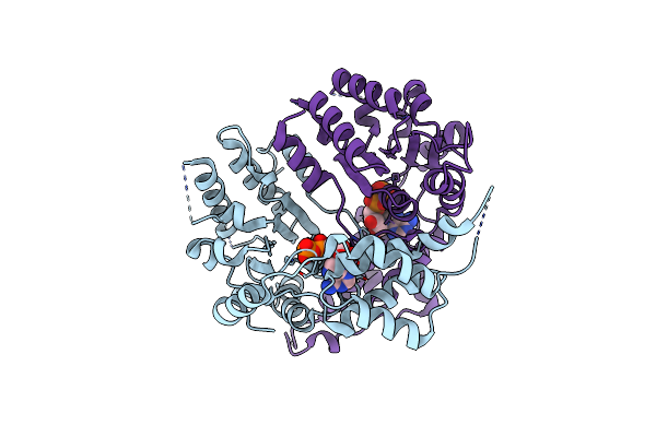 3D8B image
